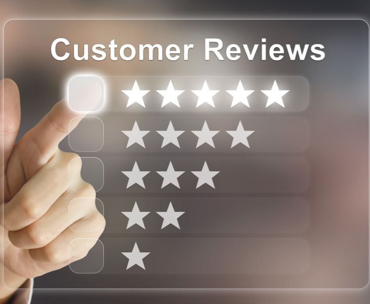 Customer Reviews
